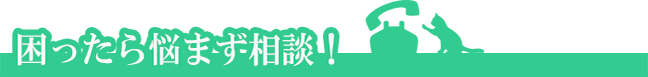 困ったら悩まず相談!